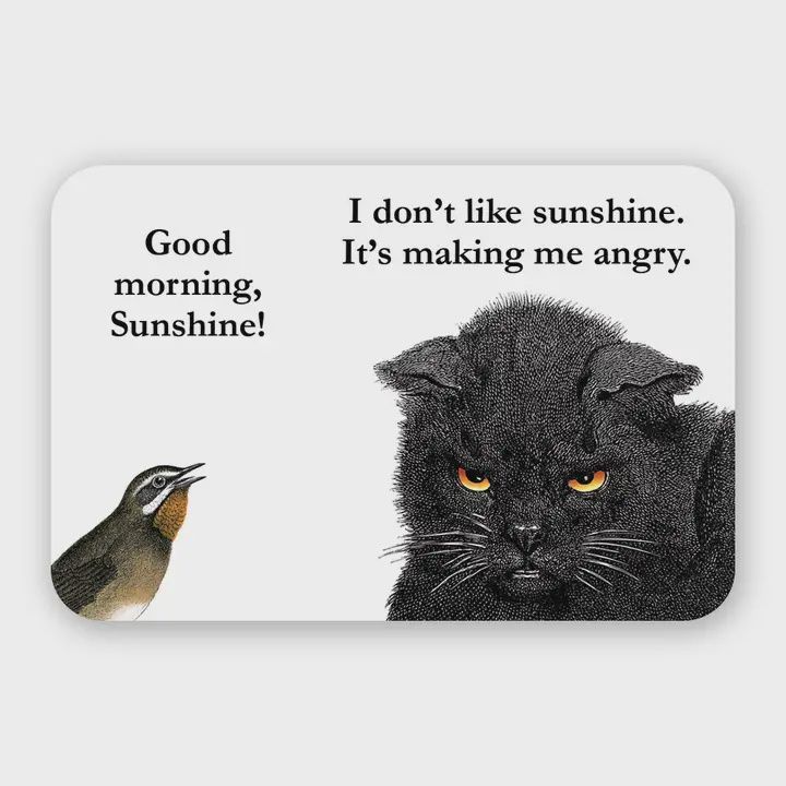 Sunshine Vinyl Sticker