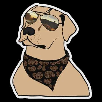 Life Outside Stickers