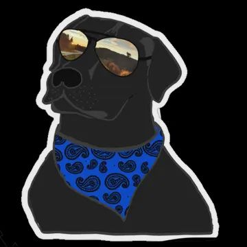 Life Outside Stickers