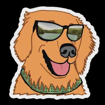 Life Outside Stickers