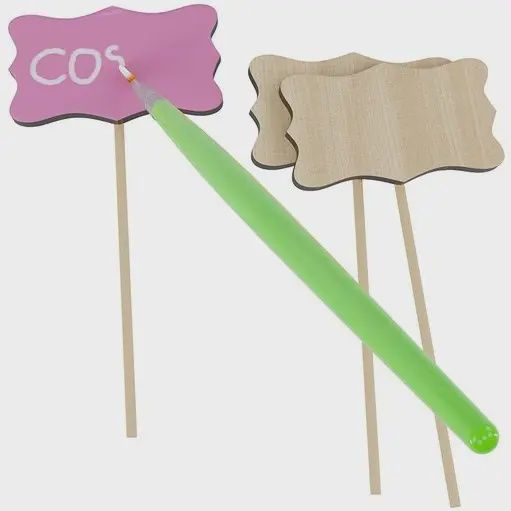 Paint and Plant Flower Growing Kit