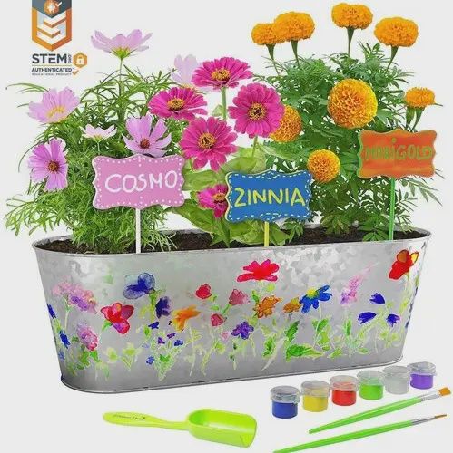 Paint and Plant Flower Growing Kit