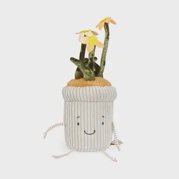 Window Silly Pal - Daffodil