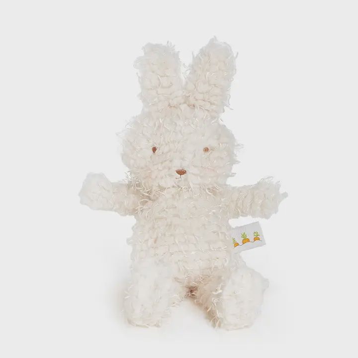 Shaggy Hoppy Bunny