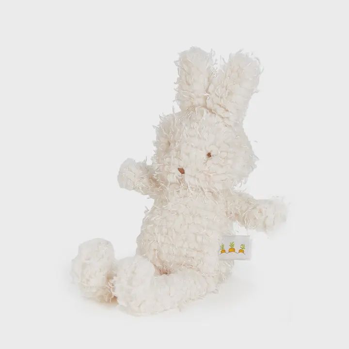 Shaggy Hoppy Bunny