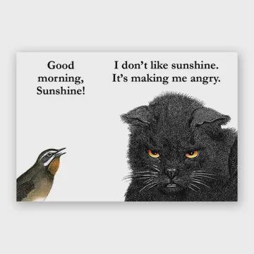 Mincing Mockingbird Magnet