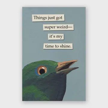 Mincing Mockingbird Magnet