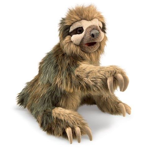 Three-Toed Sloth