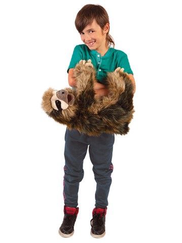 Three-Toed Sloth