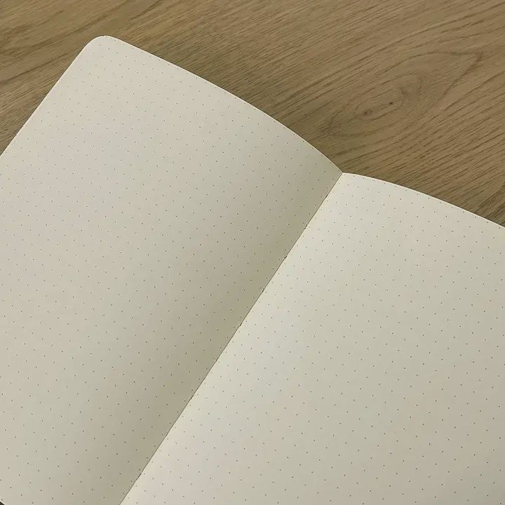 Strange Ideas Journal - Medium
