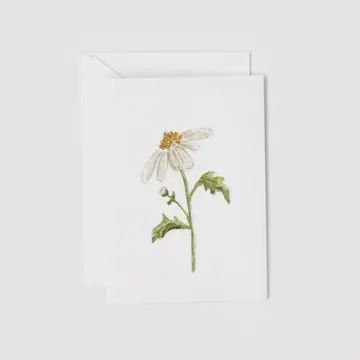 Emily Lex Mini Notecard