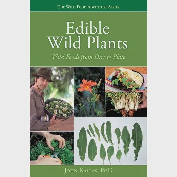 Edible Wild Plants Wild Food From Dirt To Plate