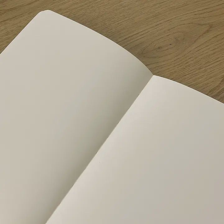 Post-Pandemic Playbook Journal