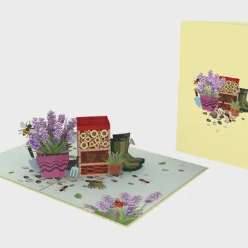 Blue Bird Pop-Up Cards