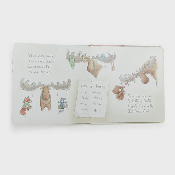 Camp Cricket Board Book