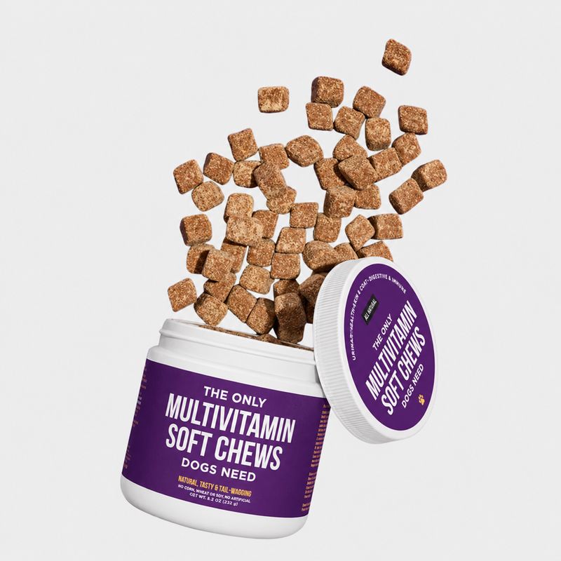The Only Multivitamin Soft Chews 120 Ct