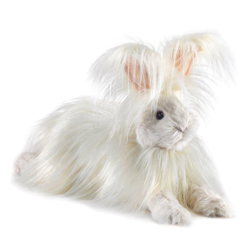 Angora Rabbit