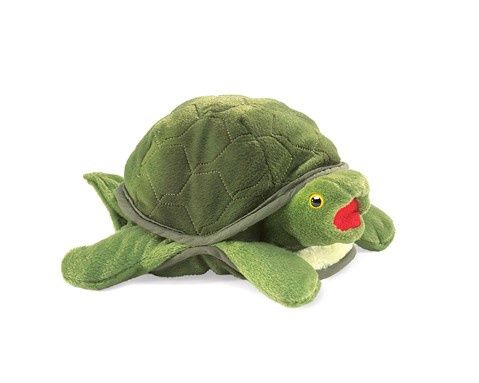 Baby Turtle