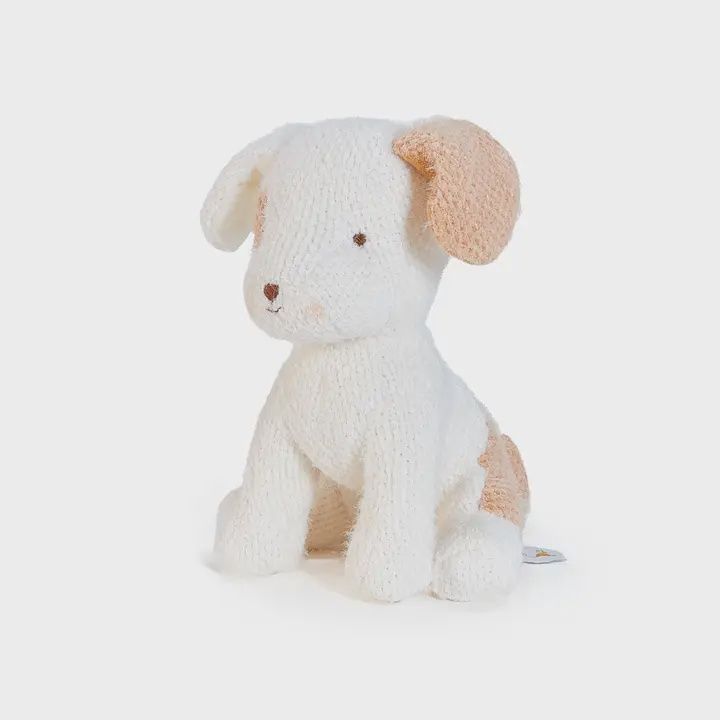 Baby Skipit the Puppy