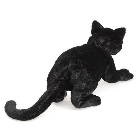 Black Cat