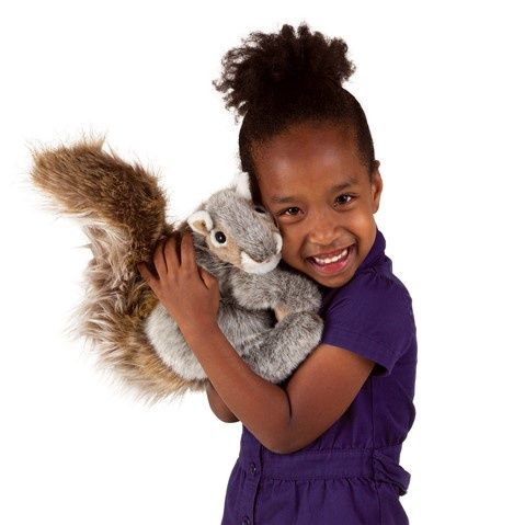 Gray Squirrel