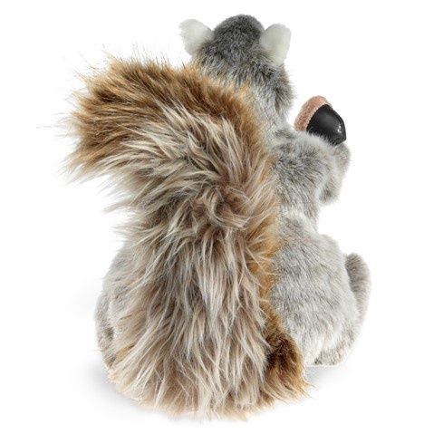Gray Squirrel