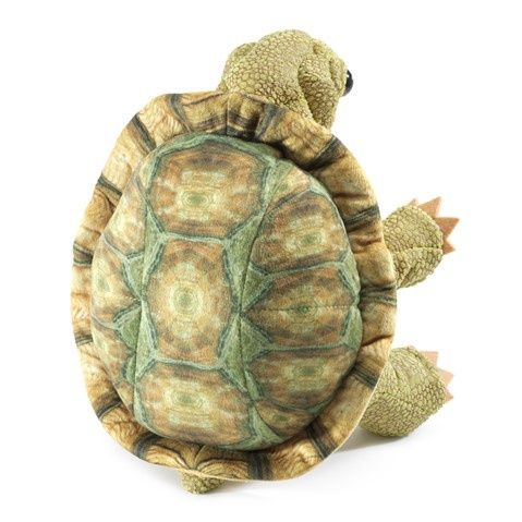 Standing Tortoise