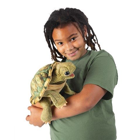 Standing Tortoise