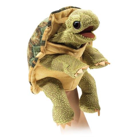 Standing Tortoise