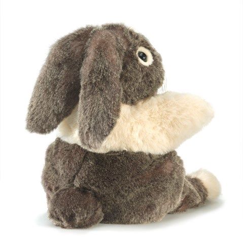 Dutch Rabbit