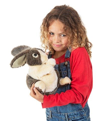 Dutch Rabbit