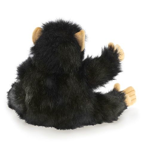 Baby Chimpanzee