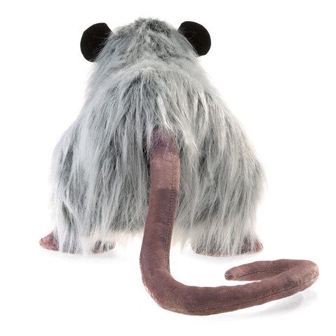 Opossum