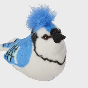 Audubon II Blue Jay