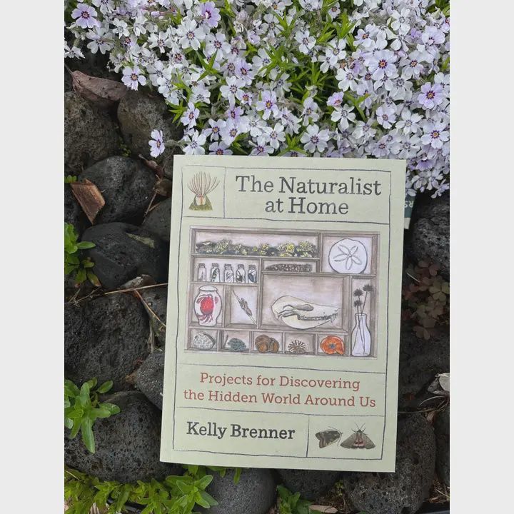 The Naturalist at Home Book