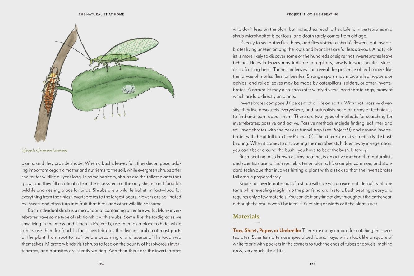 The Naturalist at Home Book