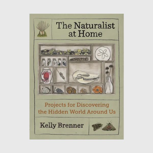 The Naturalist at Home Book