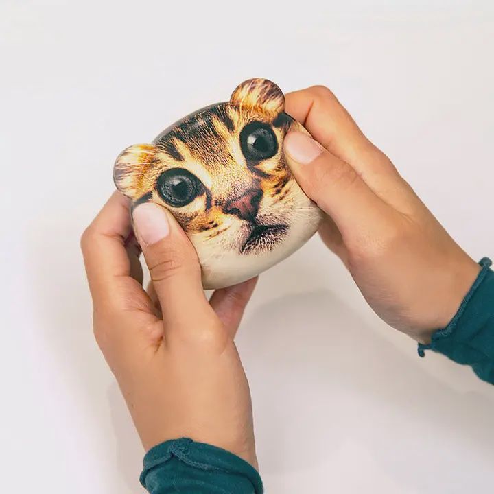 Feline Fire Stress Balls