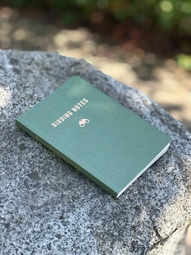 Birding Notes
