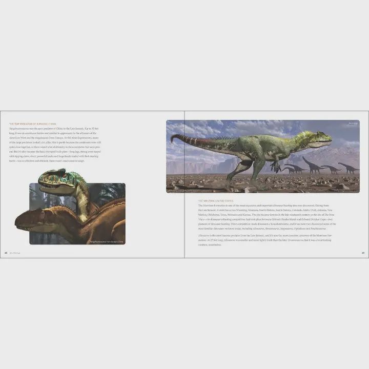 Amazing World Dinosaurs Book