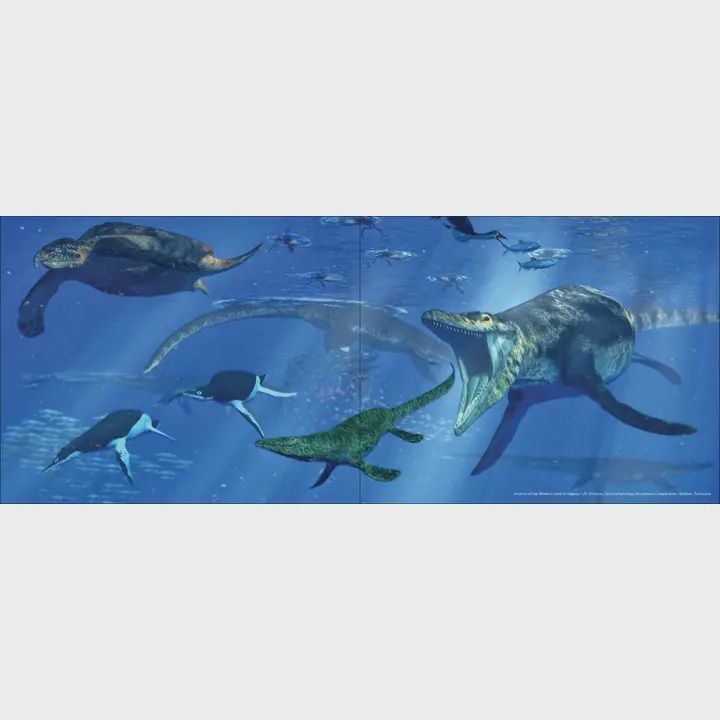 Amazing World Dinosaurs Book