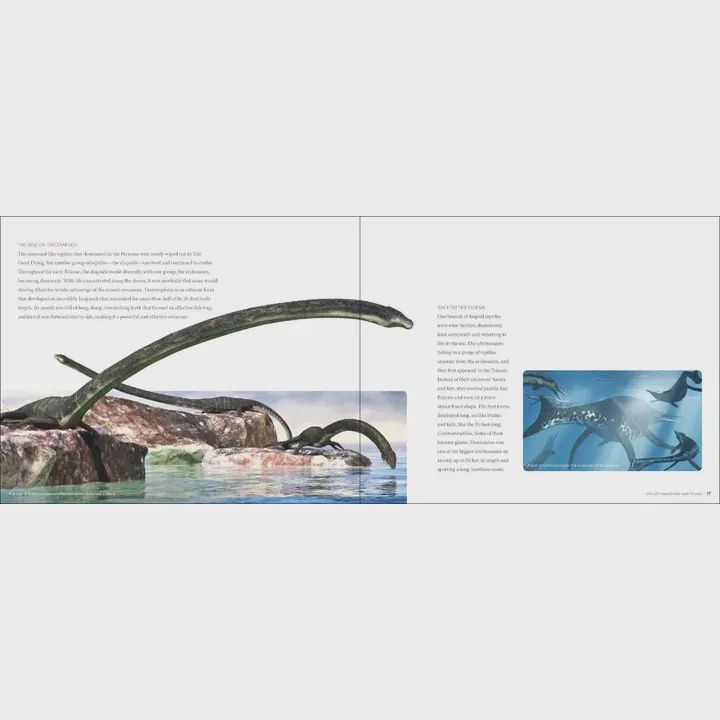 Amazing World Dinosaurs Book