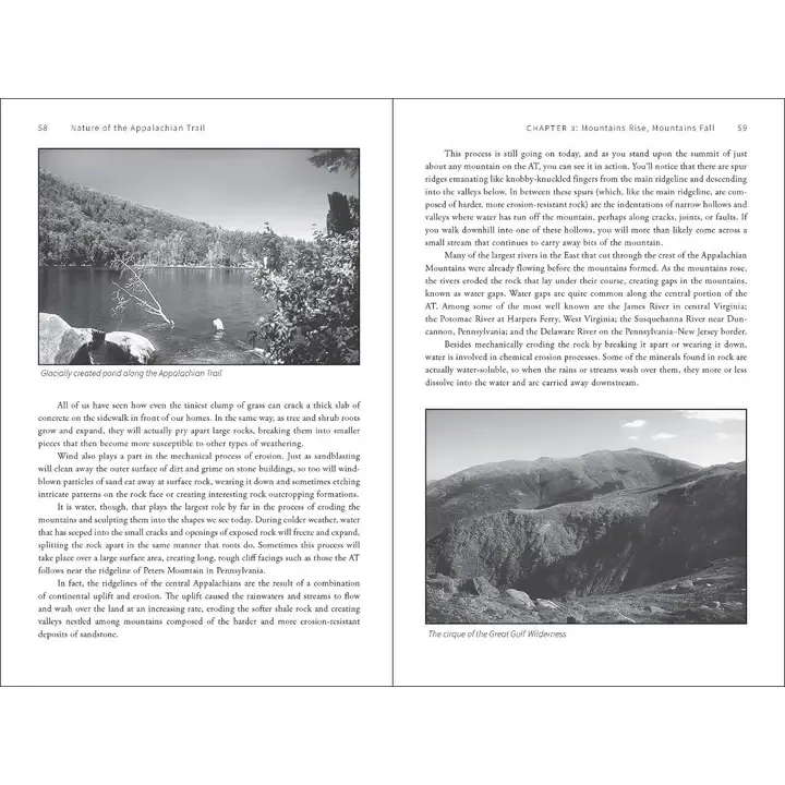 Nature of the Appalachian Trail