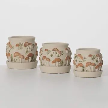 Organic Mushroom Planter Medium