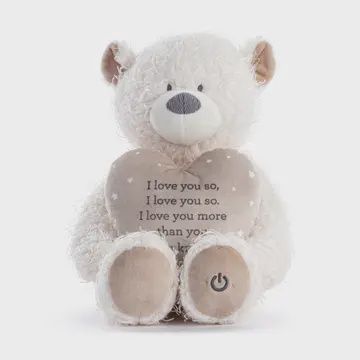 Wrapped in Love Mechanical Bear