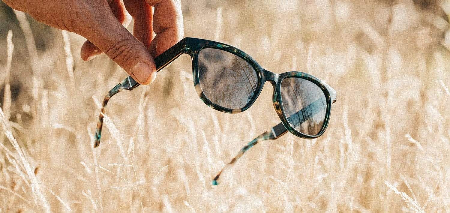 Cove Sunglasses - Basic Polarize