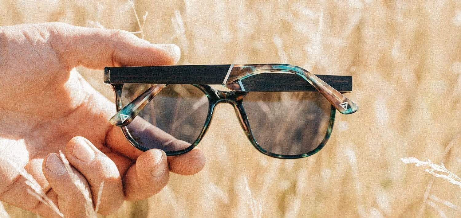 Cove Sunglasses - Basic Polarize