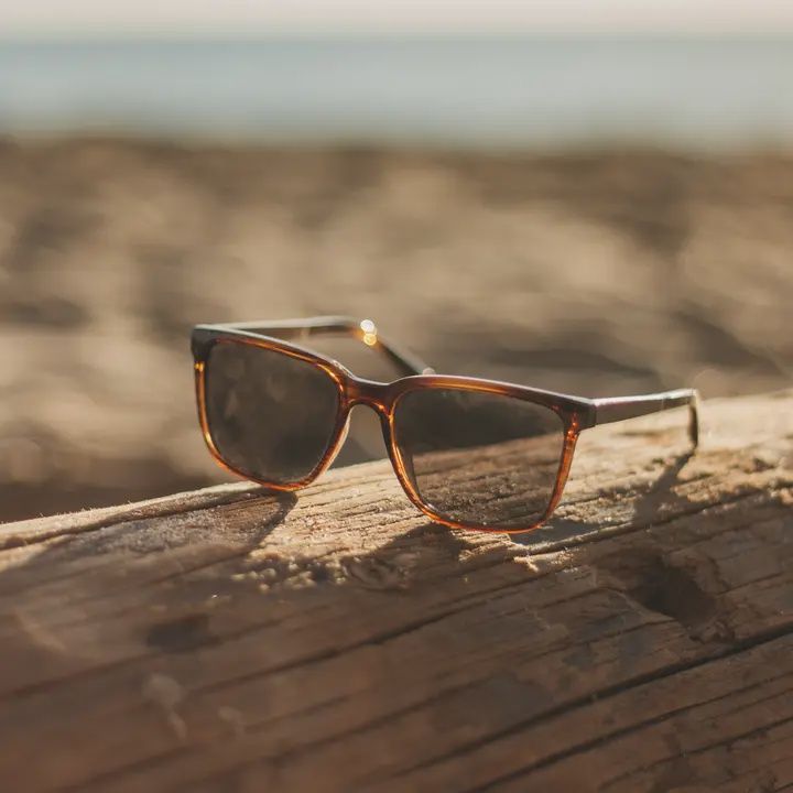 Crag Sunglasses - Basic Polarize Tortoise Grey
