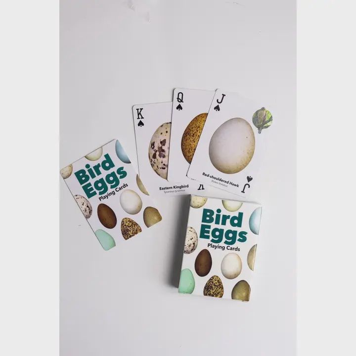 Bird Eggs Playing Cards