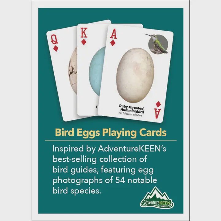 Bird Eggs Playing Cards